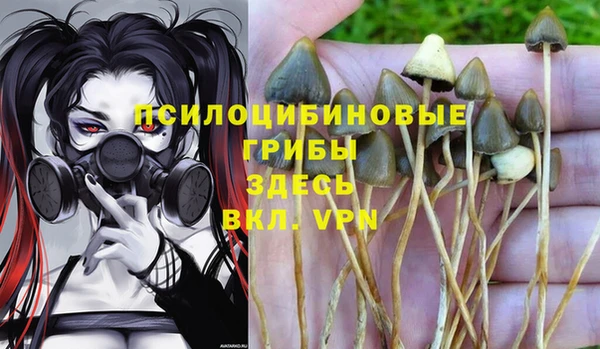 мдпв Белоозёрский