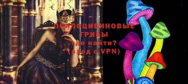 прущая мука Богородицк