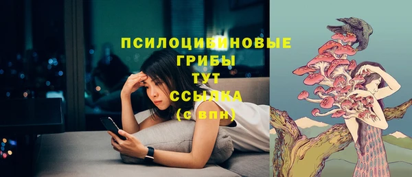 хмурый Богданович