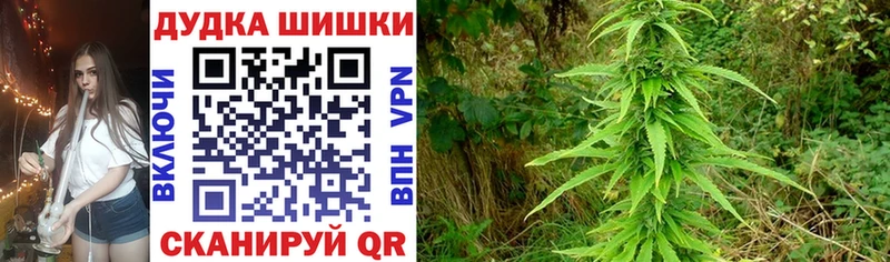 купить  цена  Михайлов  Канабис марихуана 